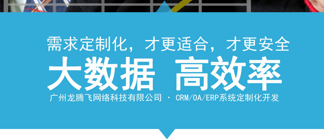 1. 电商系统开发平台的定义与特点